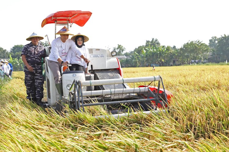 Wali Kota Eri Cahyadi bersama Rini saat panen raya/ist