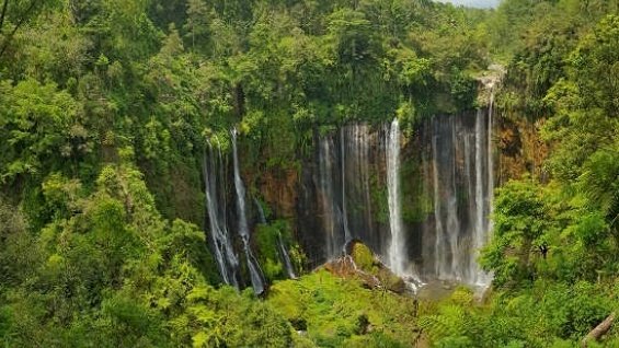 Salah satu tempat wisata di Jatim/net