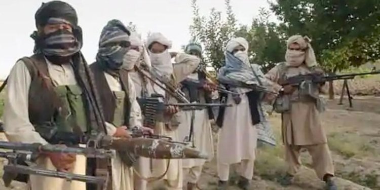 Ilustrasi Taliban/Net