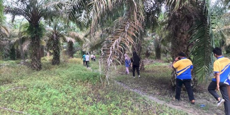 Salah satu bidang tanah yang akan dilelang KPK/Ist