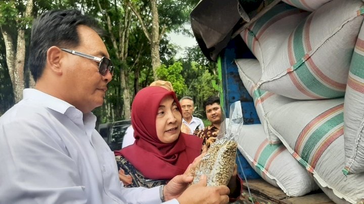 ekspor perdana kopi dari wilayah Jember/ist