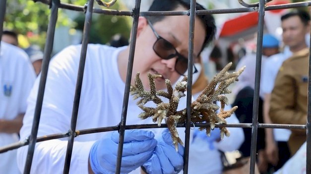 Sekretaris Daerah Prov Jatim Adhy Karyono memulai kegaiatan rehabilitasi terumbu karang dalam rangkaian kegiatan 'Yuk Ke Laut' di Pantai Pasir Putih Situbondo, Senin (31/10/2022)