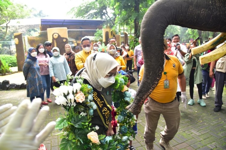 Seekor Gajah mengalungkan bunga kepada Bunda PAUD Surabaya/ist