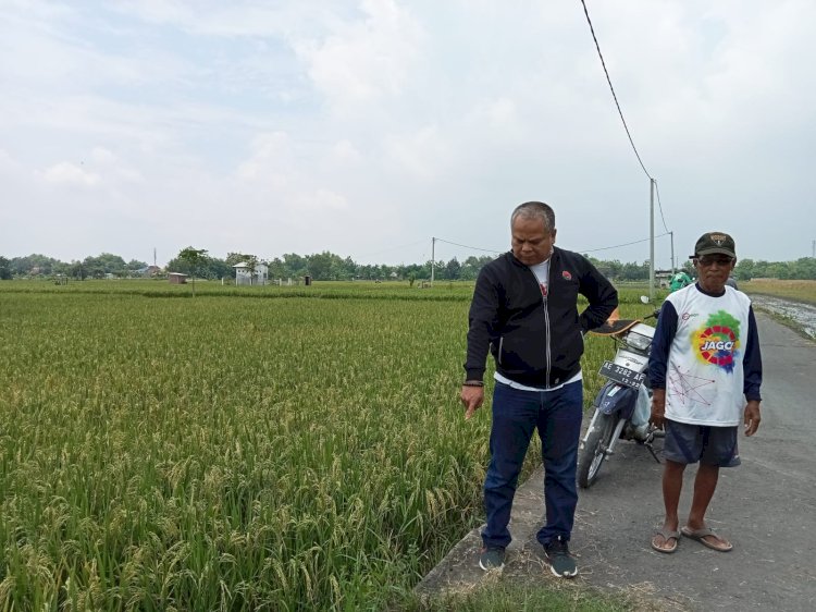 Kelompok Tani Padi Menguning kelurahan Rejomulyo kota Madiun saat berdiskusi dengan ketua DPC pdi perjuangan kota Madiun Anton Kusumo/ ist.