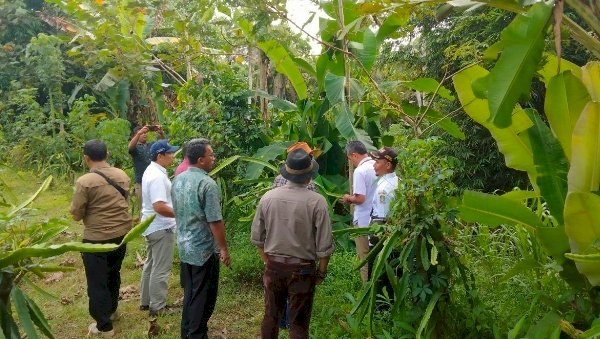 Caption: Cegah Banjir Wilayah Selatan Banyuwangi, Fokus Perbaikan Tanggul hingga Normalisasi