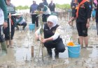 Tanam 5.750 Bibit Mangrove dan 50 Bibit Cemara Udang, Gubernur Khofifah Terus Gaungkan Sedekah Oksigen untuk Dunia