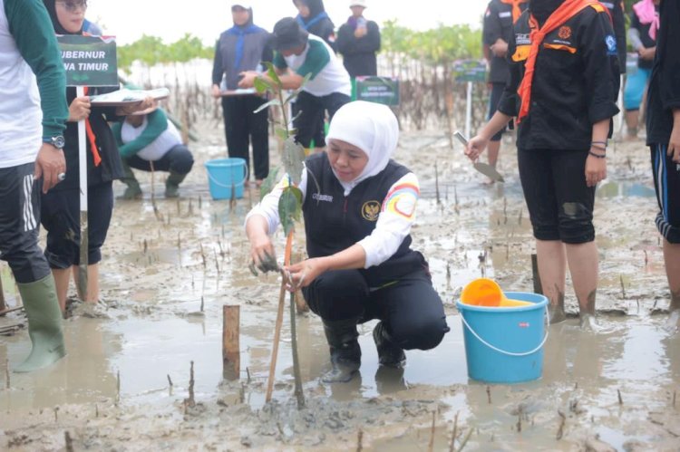 Gubernur Khofifah saat menanam bibit/RMOLJatim