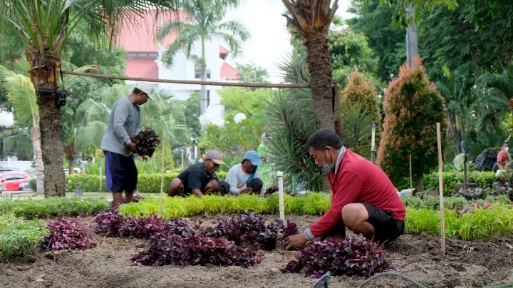 Teks foto: Petugas saat melakukan pebataan taman/RMOLJatim