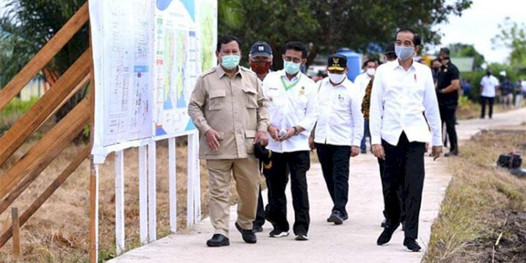 Presiden Joko Widodo didampingi Prabowo Subianto dan sejumlah menteri mengecek lahan yang akan dijadikan food estate/Net