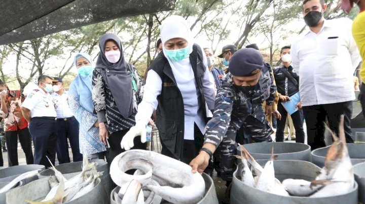 Gubernur Khofifah / ist
