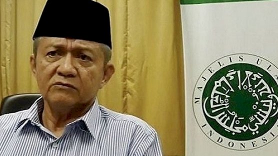 Wakil Ketua Umum MUI Anwar Abbas