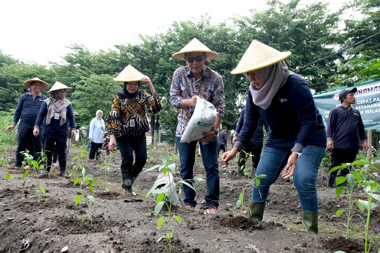 DKPP Surabaya menanam 1 juta bibit cabai dan 4 ribu bibit bawang merah/ist