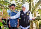 Sambangi Kampung Durian Ngawi, Gubernur Khofifah Dorong Inovasi Petik-Olah-Kemas-Jual dengan Teknik Frozen Fruit
