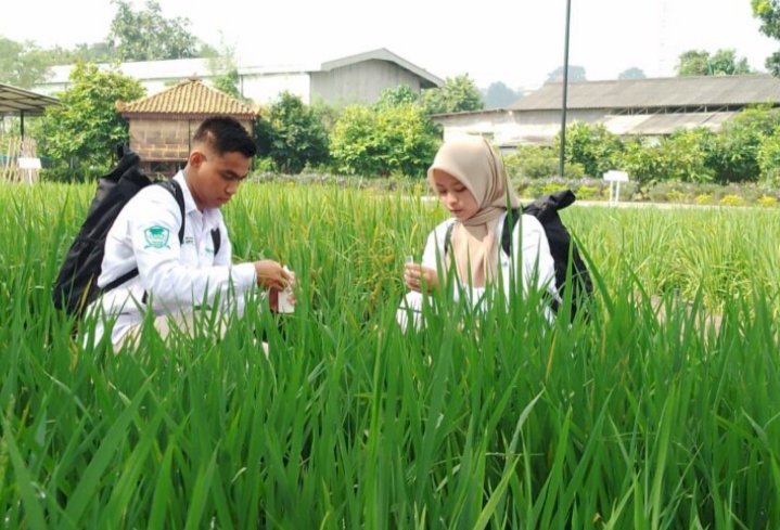 Petrokimia Gresik sebar Taruna Makmur/Ist