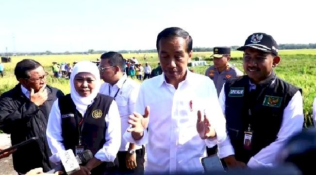 Presiden Jokowi bersama Menteri Pertanian (Mentan) lakukan panen raya di Ngawi, Sabtu (11/3)/ist