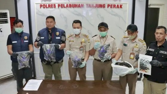 Pengungkapan kasus penyelundupan gagak Hitam 