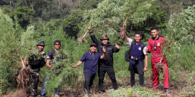 Tim gabungan TNI-Polri saat melakukan pemusnahan ladang ganja di Kecamatan Beutong Ateuh Banggalang, Nagan Raya, Aceh/Ist