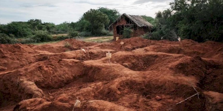 Petugas menggali tanah pertanian di hutan Shakahola, untuk melakukan pencarian mayat korban sekte sesat di Kenya/Net