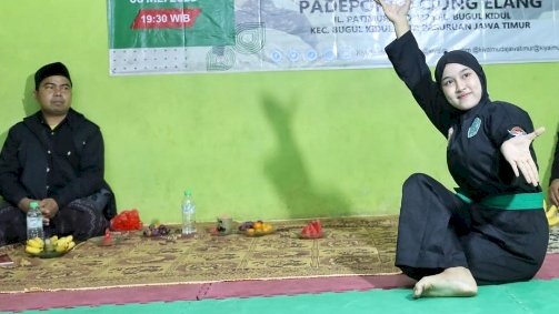 Seni beladiri pencak silat