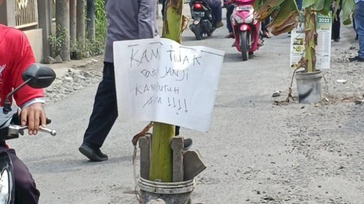 Warga Desa Jumputrejo Kecamatan Sukodono Sidoarjo protes jalan rusak dengan tanam pohon pisang / RMOL Jatim