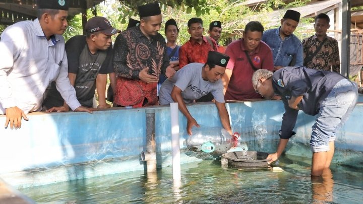 Budi daya ikan air tawar 