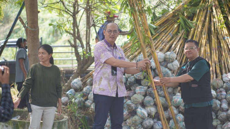 Pennaman pohon Bambu Kuning di Buffer Zone TPA Benowo/ist