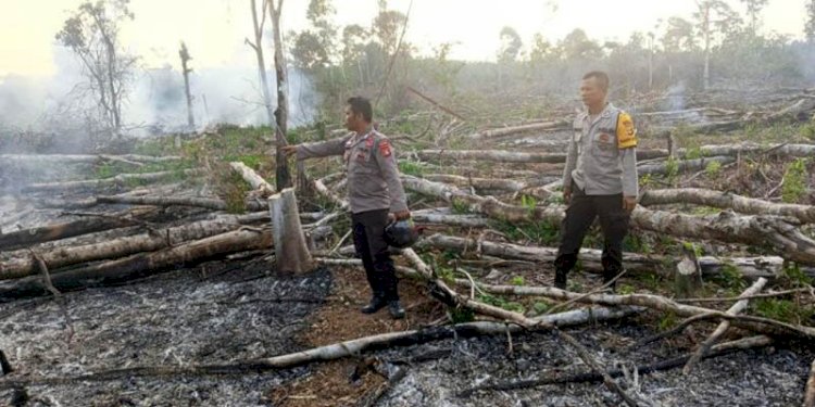 Petugas saat berada di lokasi lahan seluas 2 hektare yang dibakar oleh para pelaku di Desa Suro, Kecamatan Muara Beliti, Kabupaten Musi Rawas/Ist