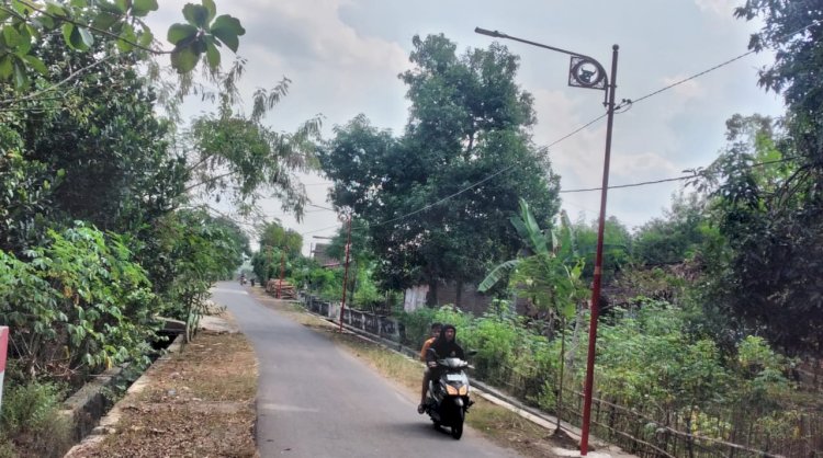 Penerangan jalan desa di Desa Wonorejo Kecamatan Mejayan Kabupaten Madiun/ist