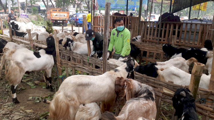 Penjualan hewan kurban/ist