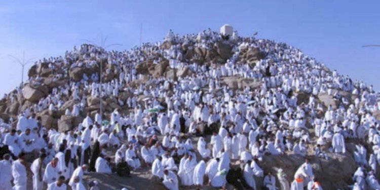 Jamaah haji wukuf di Arafah/Net