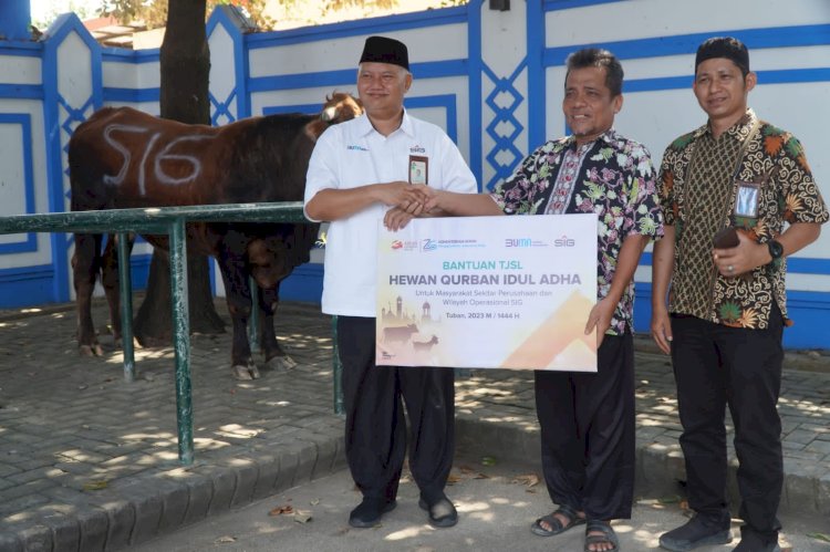 Manager of Corporate Communication SIG GHoPO Tuban Setiawan Prasetyo serahkan hewan qurban secara simbolis di halaman Pemkab Tuban/RMOLJatim