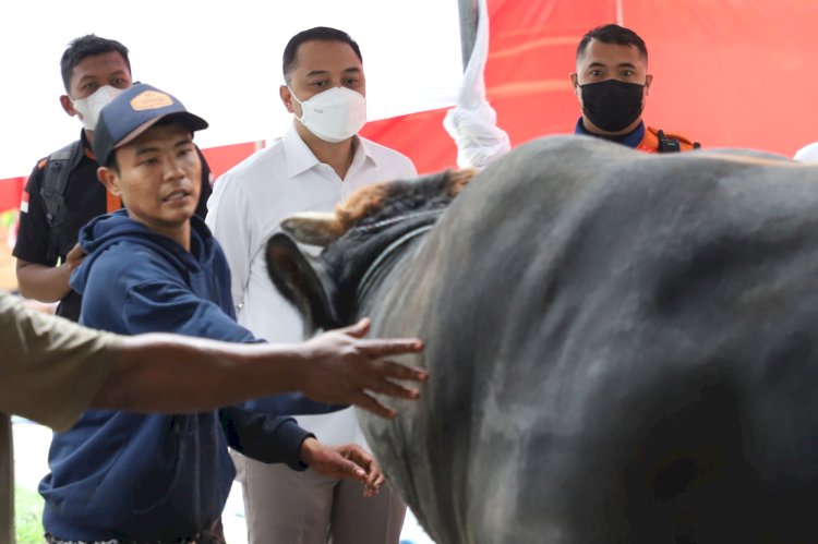 Wali Kota Eri meninjau hewan kurban di RPH Surabaya/RMOLJatim