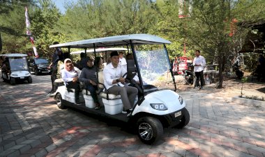 Surabaya Punya Kebun Raya Mangrove