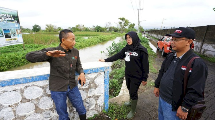 Bupati Banyuwangi Ipuk Fiestiandani saat meninjau kondisi lokasi banjir rob di kawasan Pakis Rowo, Kelurahan Pakis/Ist