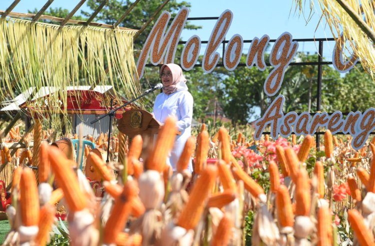 Bupati Banyuwangi Ipuk Fiestiandani saat panen jagung di Desa Alasrejo/Ist