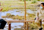Hasto Anggap Food Estate  Kejahatan Lingkungan, Relawan Prabowo: Hutan Mana yang Ditebang?