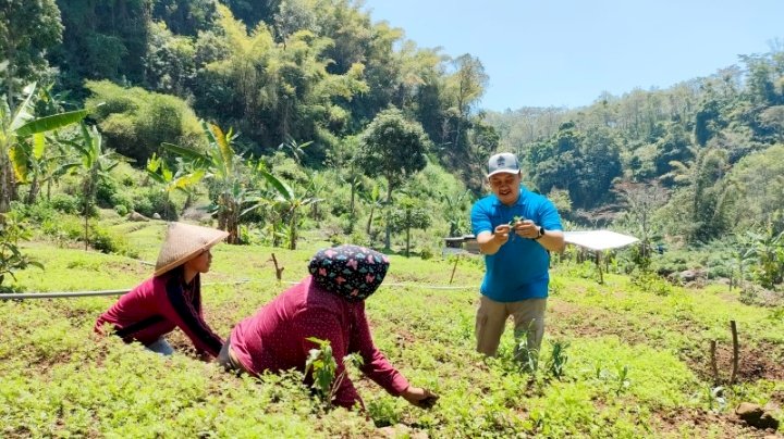 Keterangan foto : Koptan Makmur Bersama desa Kare Madiun sedang menanami lahan dengan wortel menggunakan pupuk organik. /ist