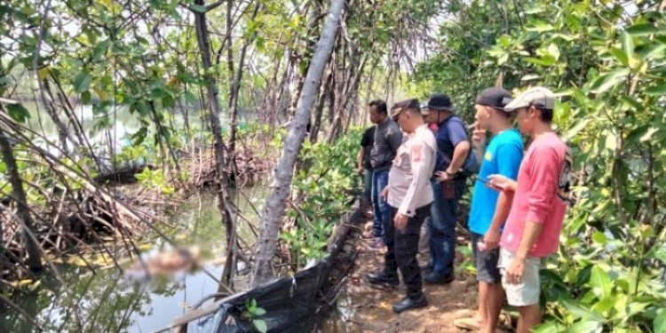 Lokasi temuan mayat wanita berseragam pramuka di Pemalang, Jawa Tengah/Net