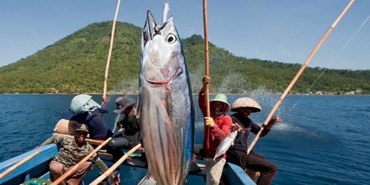 Perikanan Indonesia/Ist