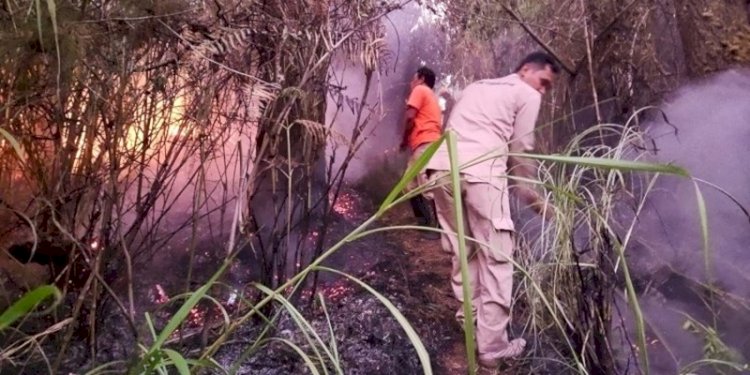 Proses pemadaman karhutla di lereng Gunung Lawu/Ist