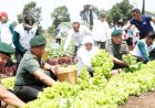 Dorong Peningkatan Ketahanan Pangan, Gubernur Khofifah dan Pangdivif 2 Kostrad Tanam 10 Ribu Pohon dan Panen Tanaman Holtikultura