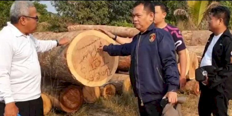Polisi menyita ratusan batang kayu log dari pembalakan liar di Muba/Ist