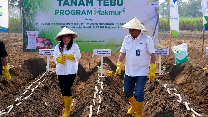 Petani di Gresik 