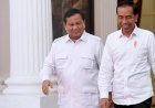 Jokowi, Prabowo, dan Gibran Bakal Hadir di Rakernas Projo Besok