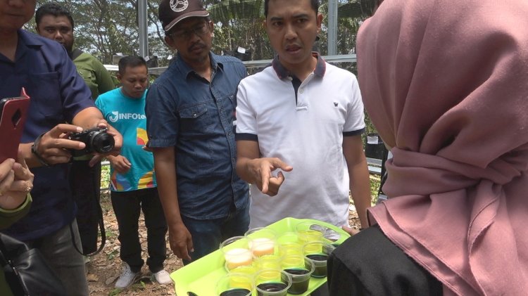 Produk makanan dan minuman, Hasil Tim binaan PPK Ormawa Fakultas BEMF Farmasi Unej/Ist