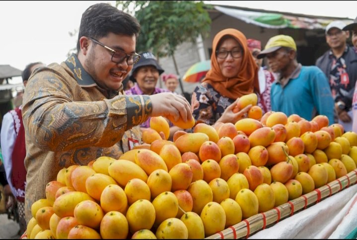 Bupati Kediri Hanindhito Himawan Pramana saat melihat buah mangga podang/RMOLJatim