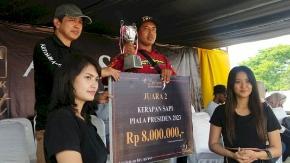 Festival Karapan sapi Madura 