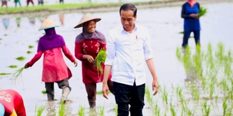 Presiden Jokowi bangga dengan penerapan teknologi Agrokonservasi yang membantu peningkatan hasil pertanian di tengah ancaman El Nino/Ist