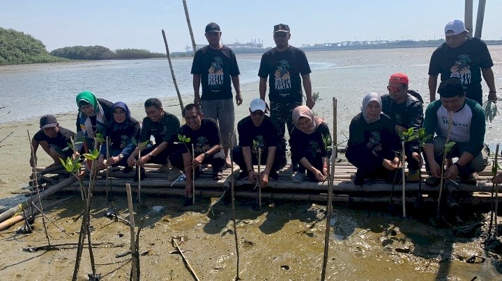 Tanam mangrove hari santri 