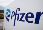 Pfizer akan PHK 500 Karyawan Gara-gara Vaksin dan Obat Covid Tak Laku